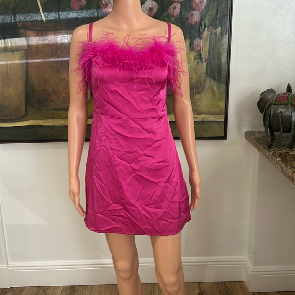 NEW White Fox Boutique pink dress with feather trim - Picture 4 of 11